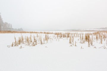 Landscape of frozen lake covered by snow