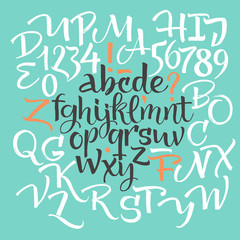Vector alphabet. Hand drawn letters. Letters of the alphabet written with a brush.