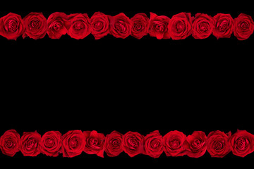 red roses arranged in lines. Black background.