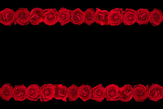 red roses arranged in lines. Black background.