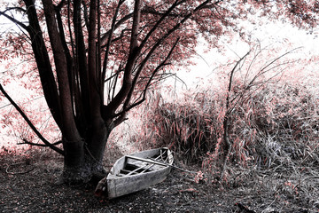 Park of Ois da Ribeira
