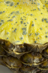 Moldy pineapple fruit
