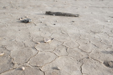 Cracked Desert