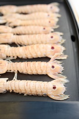 tray of seafood cooked on the grill
