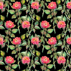 Watercolor pink roses seamless pattern texture background