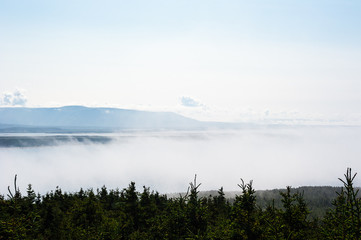 Obraz na płótnie Canvas Low fog between trees and distant mountain range