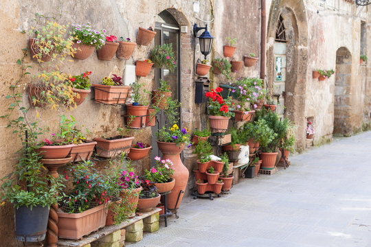 Ceramic Flower Pots Hang on Old Italian Wall