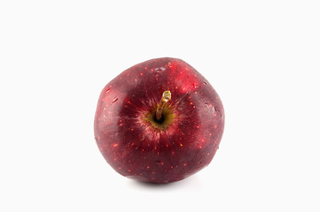Red apple with drops isolated on white background-top view