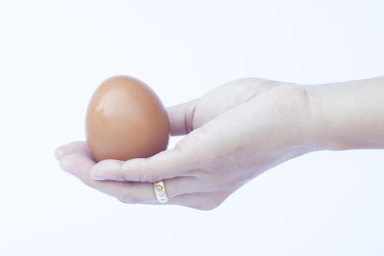 Hand holding egg isolated on white background