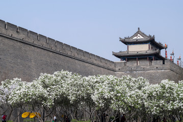 the ancient city wall of xi'an © lujing