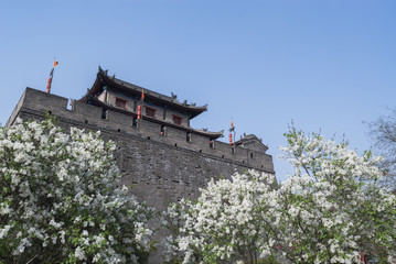 the ancient city wall of xi'an © lujing
