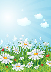Sunny meadow landscape with sunburst, vector illustration