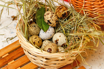 Obraz premium Quail eggs in basket. Protein.