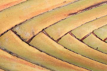 green leaf background