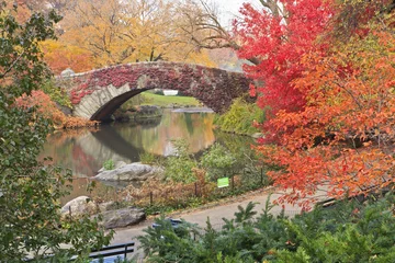 Photo sur Plexiglas Pont de Gapstow Red Ivy on Central Park Bridge