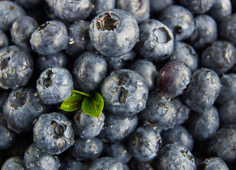 Blueberries with drops of water close-up