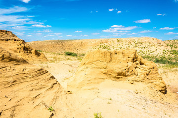 Desert landscape on a summer day.