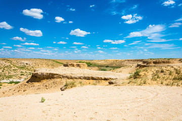 Desert landscape on a summer day.