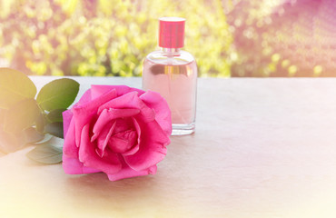 Obraz na płótnie Canvas single pink rose inconcept sweet aroma love in romantic colour t