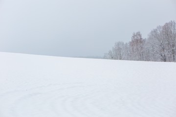 Fototapeta na wymiar Winter field under cloudy gray sky