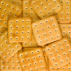 Image of many delicious cookies closeup