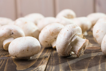 Many small champignons