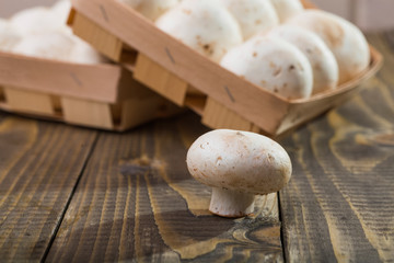 Champignon near baskets