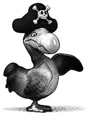 Dodo © Julien Tromeur