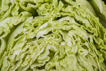 Detail of cut chinese cabbage
