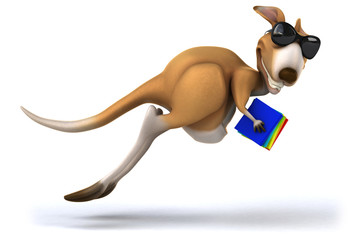 Fun kangaroo © Julien Tromeur