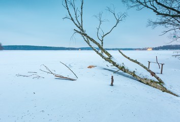 Winter frozen lake landscape with old birch tree.