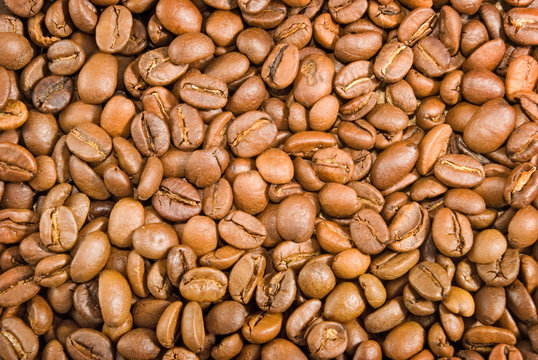 image of coffee beans close-up