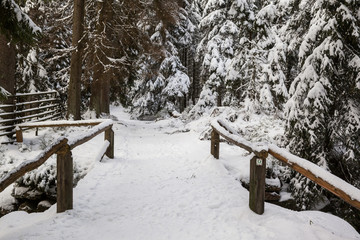 Wanderweg um dem Oderteich im Winter Nationalpark Harz