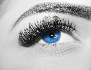 Woman brown eyes with extremely long eyelashes