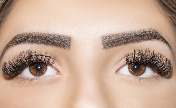 Woman brown eyes with extremely long eyelashes