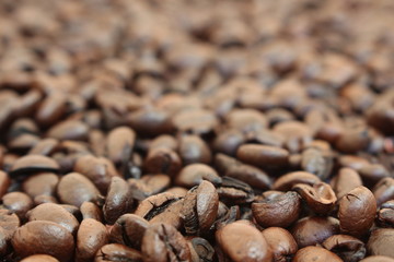coffee beans, can be used as a background
