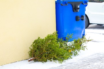 Christmas tree discarded in the trash