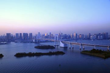 View of Tokyo downtown at night with Rainbow Bridge