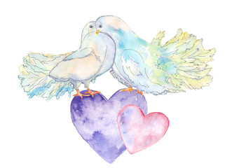 pigeons and heart /watercolor painting. Can be used for postcards, prints and design
