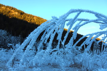  Raureif im Tal sonnig auf den Bergen