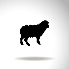 Sheep. Vector illustration