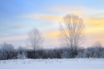 Obraz na płótnie Canvas Sunrise in foggy winter forest
