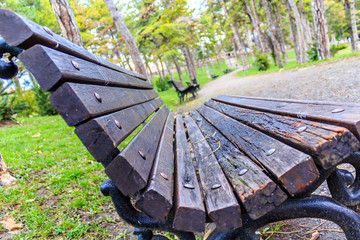 Bench in a Belgrade park-Kalemegdan