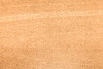 Beech wood pattern. Background photo texture