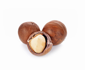 macadamia nuts isolated on whited background