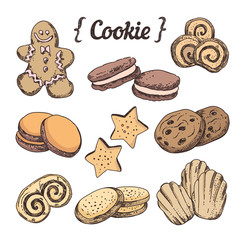 Hand sketched cookies and sweet pastry