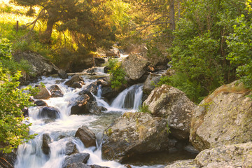 Fototapeta premium Mountain stream