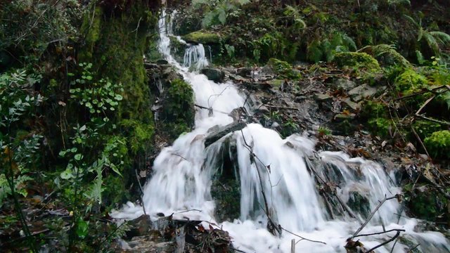 Arrollo Eifonso, cascadas en invierno