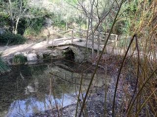lac et pont de bois foret de St Pons