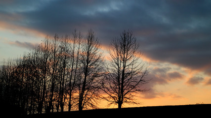 Obraz premium 冬の夕陽